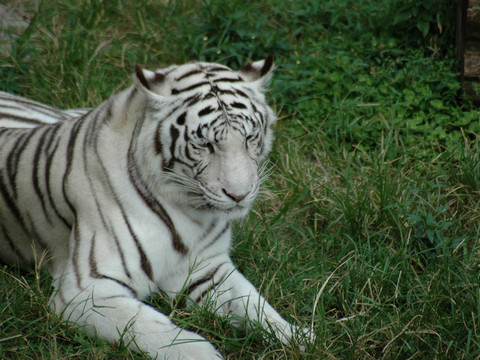 Captured 2004 10 18 00044